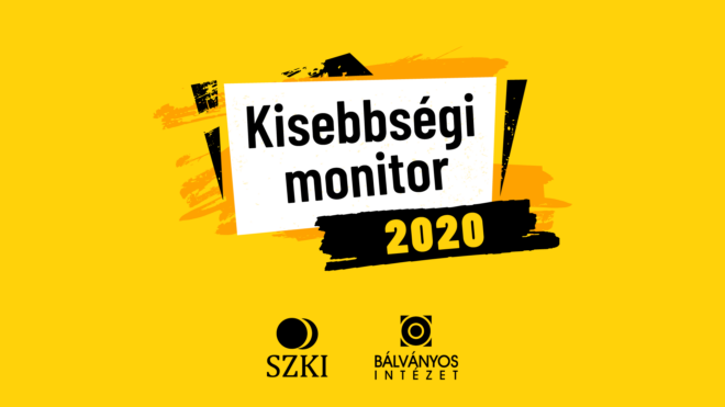 Monitor interetnic 2020